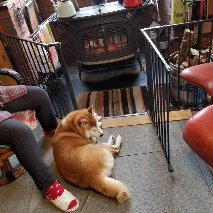 9d47e9aa df6c 414e 90ad 5e329d24aaf4 1639614923914