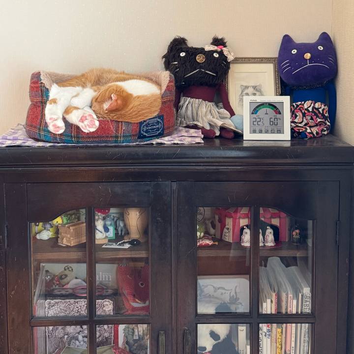 9d47f3b6 b950 4050 8878 2ecb8bd13252 1760413466830