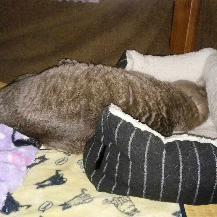 9d4802ec 697a 48cb 8ecc 2fd66c8724ca 1518001406955