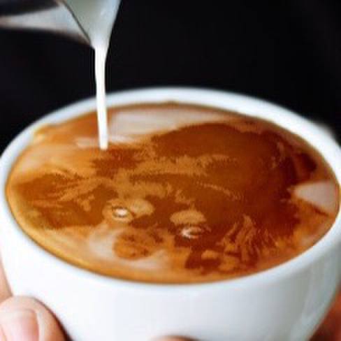 9d48323a 3e57 48ea 903c 169db82db326 1511493164999