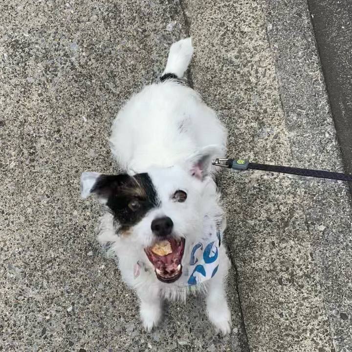 9d489bb5 15fa 48d2 a6ac d6f67593cbfe 1658878842138