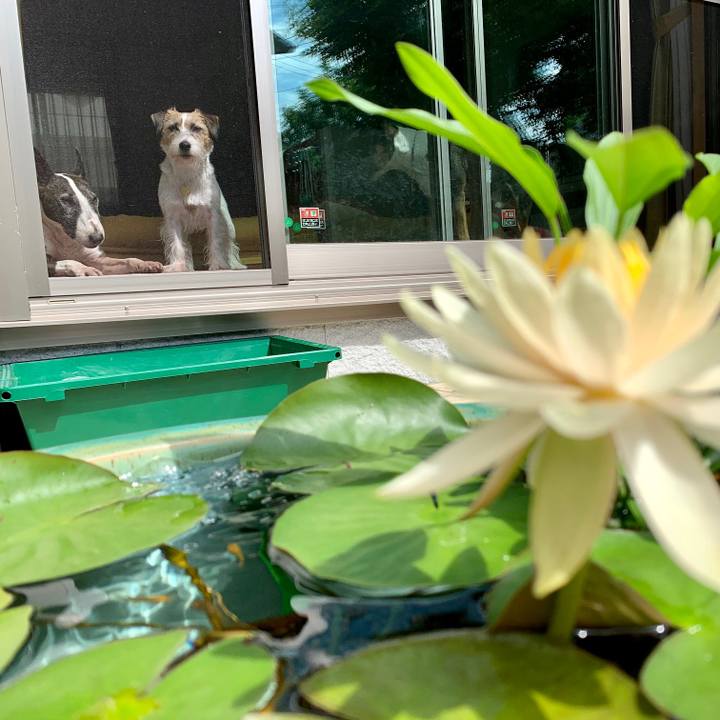 9d48a98a d998 4a8d 9ee1 b052ceaabe20 1600751753039