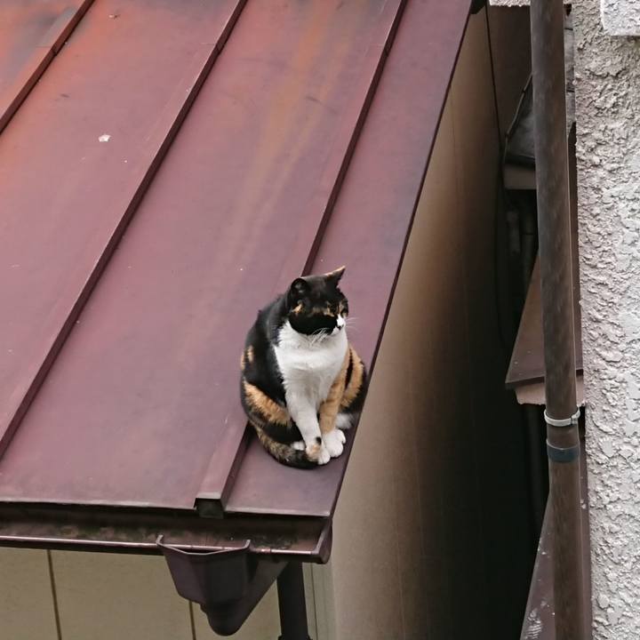 9d48aa80 3506 441c 9035 bf103ea1798d 1584082394237