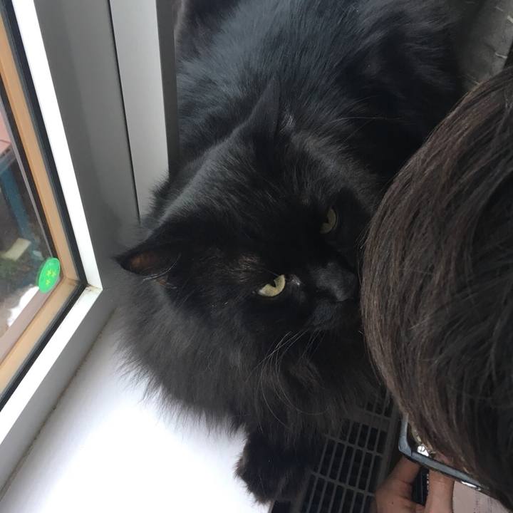 9d498d47 81e1 49cf 9c9f 27353f7debaa 1545533136431