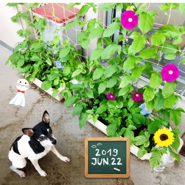 9d49a069 0a0c 4674 8e58 741dfbbe4019 1561157652815