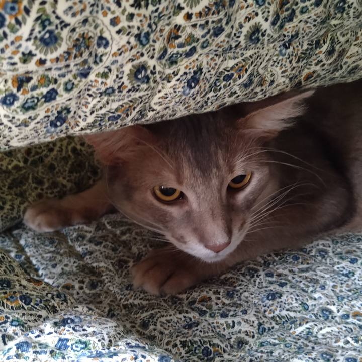 9d49b86b 621b 4ba2 bef8 003b8457c95a 1619782458091