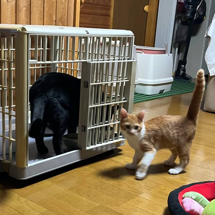 9d49bc8b 7c22 4ba8 bda0 0a83b70cfc0e 1664894314973