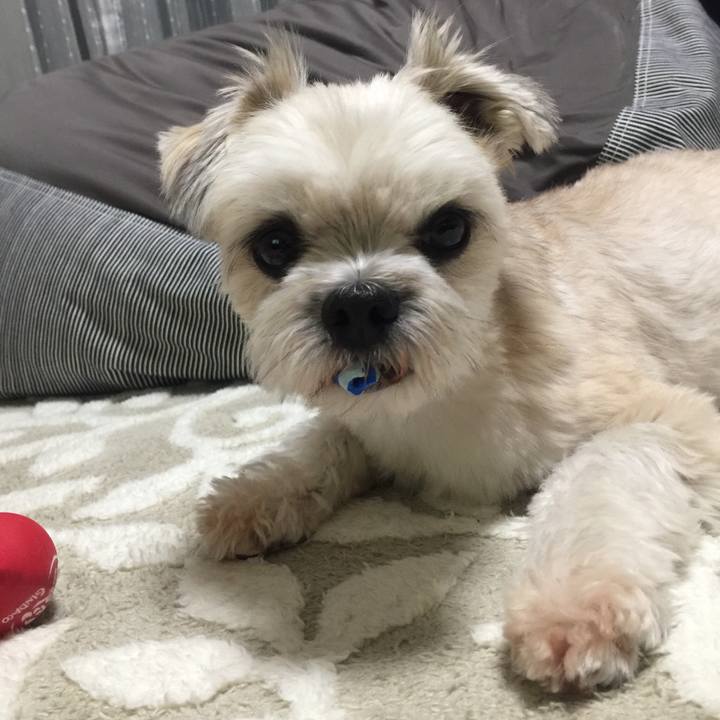 9d49c1bb b00e 4233 90ec e432243a4217 1543578328187