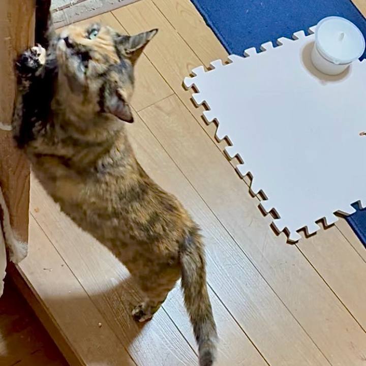 9d4a1cb8 1fd7 4307 ab7e 4db0d7dd6994 1775445019950