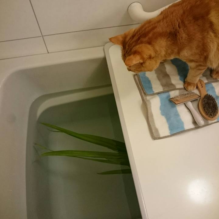 9d4a1e0f 4029 4f71 b1c0 fb33bed9f1a1 1525529305920