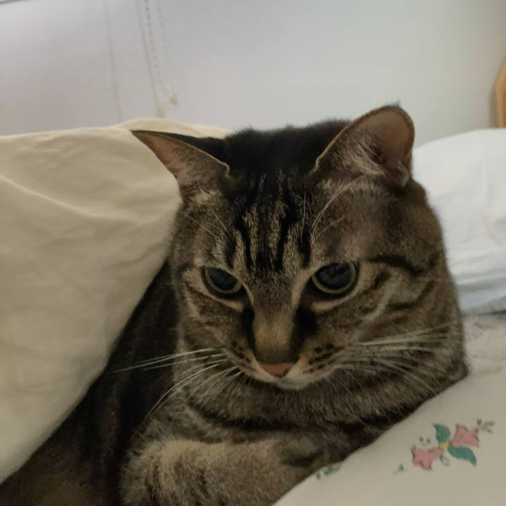 9d4a490e acf0 4ff4 8dc0 241f6bc56373 1678495329578