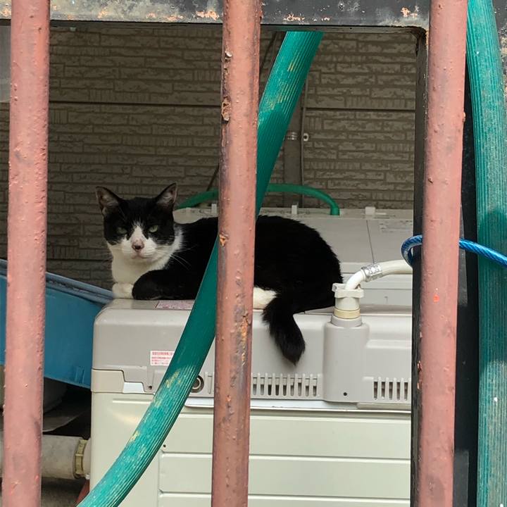 9d4ad651 fee8 4440 9ff0 20d64b975345 1593519401734