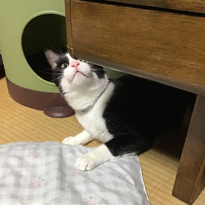 9d4afc2e b5ed 4839 959f a5e3d7121a14 1689679858419