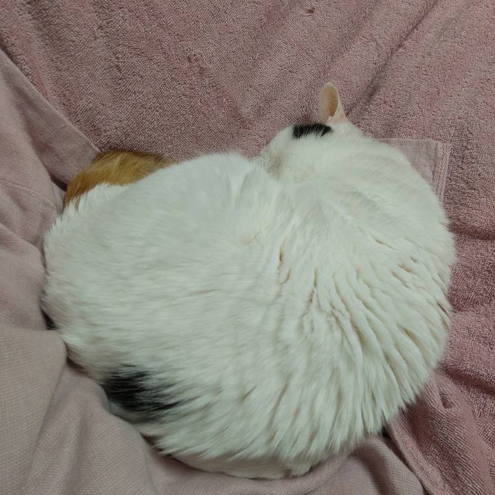 9d4b5c8a 05cf 4e6b 880b 19ea1c7ae873 1700057551637