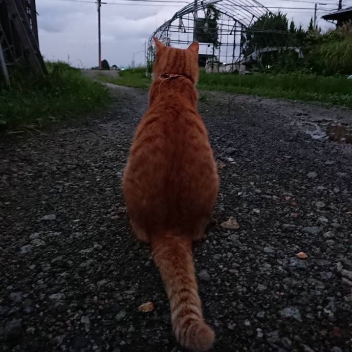 9d4b6960 a58a 46e0 93f7 1f841c93a1fe 1568193382485