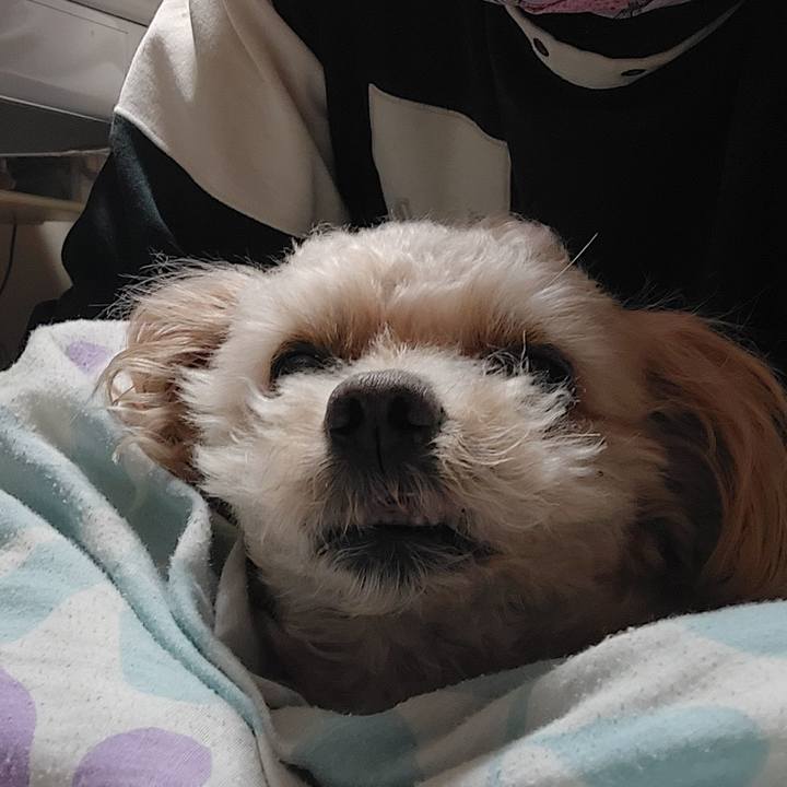 9d4b78fc a61a 40c5 837b 001293bd2f1b 1682472285153