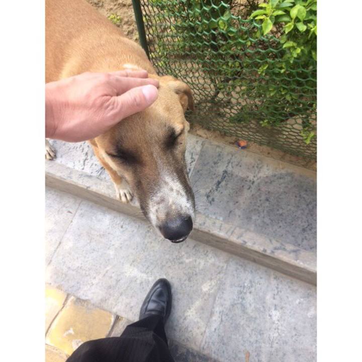 9d4b8d90 b645 47ed a02c 273135bf355a 1523345923226