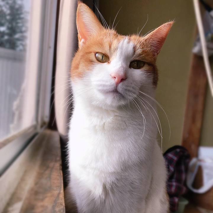 9d4c0968 c820 4dca 89d7 1d5abee82406 1546407011220