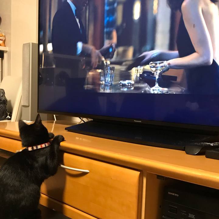 9d4c163b 9a76 4b81 bc25 c0a9d40640b5 1665446667508