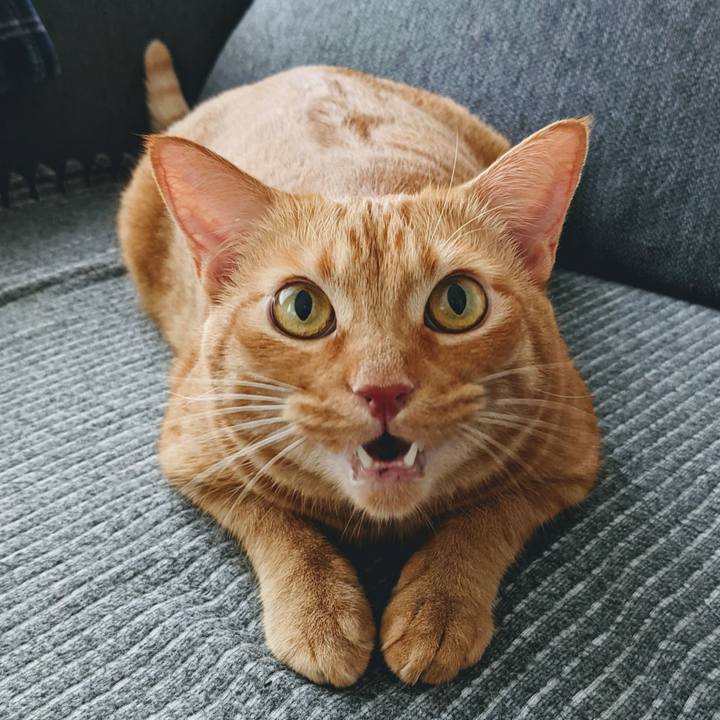 9d4c2bc6 be72 40e7 bafd e64a5739acfa 1628931206389