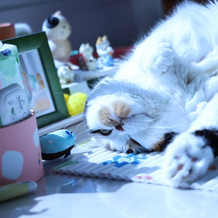 9d4c39ee d300 4ad5 b16c b1483e26ef7a 1687578693256