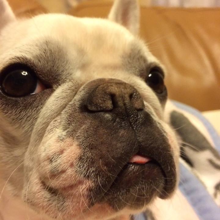 9d4c55ff b1a0 424c 9044 004a84d9cb31 1512995146807