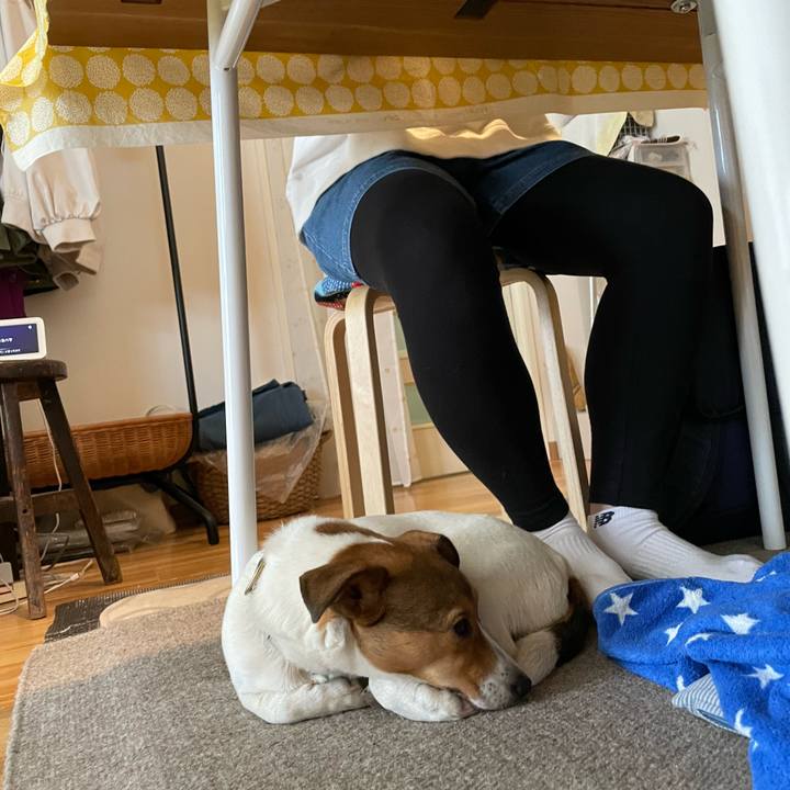 9d4c6838 d3b1 450e 8781 af8618b9d125 1682249751624