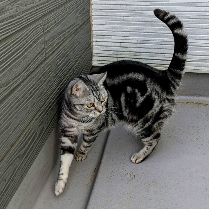 9d4c693f e09e 4201 bad5 3939b5f82635 1733698841708