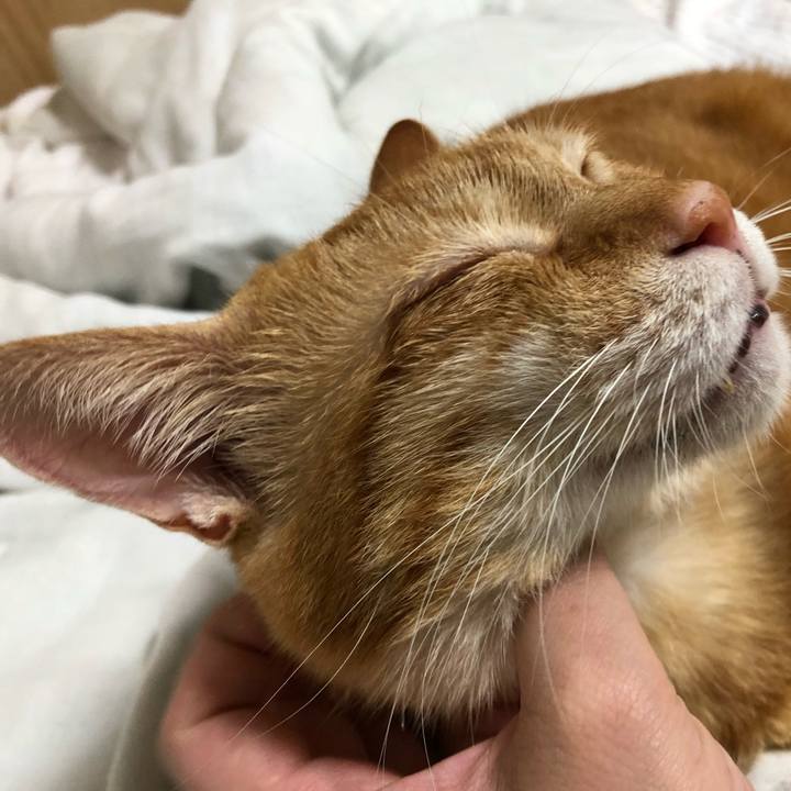 9d4c69fb 7e6a 429c 9f0a cf8aee5ac8a3 1599576907547