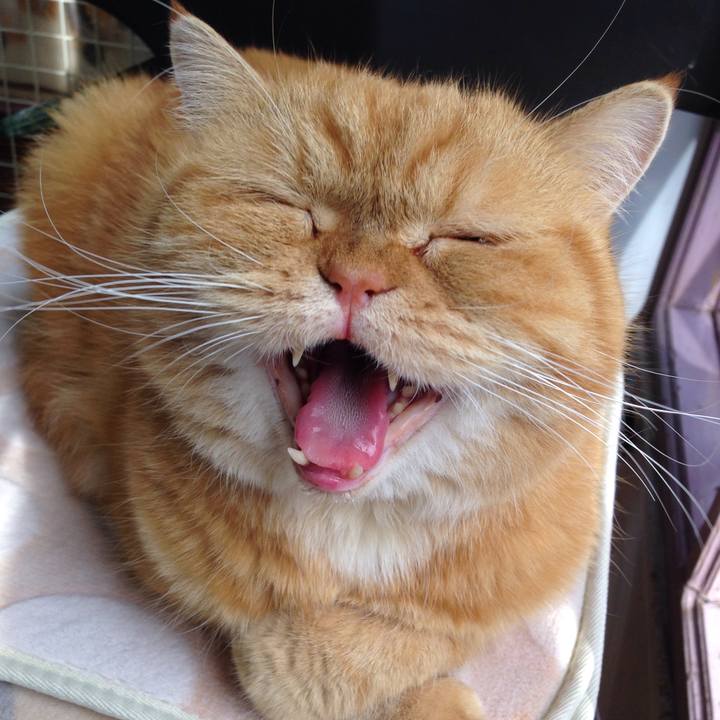 9d4c7b4e ba67 4cdd a239 80aa35d9ee3a 1528075130986