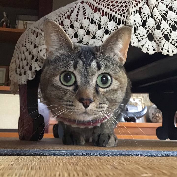 9d4ca3ea 55cb 4429 81e7 f6b131806f91 1617606925075