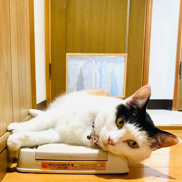 9d4ce3d5 59ac 457f 888c 81849981005e 1721655989682