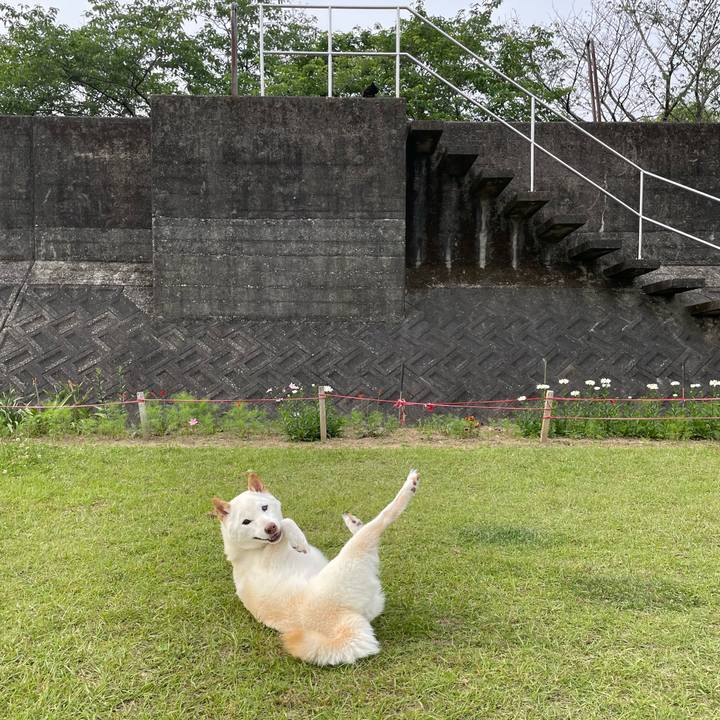 9d4d015f 938b 4f82 9edf 3766fedec9ed 1653316263336