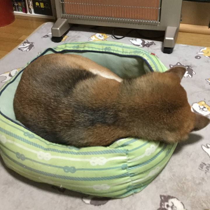 9d4d4864 9eb5 495d 963b 1d260d022212 1611231383747