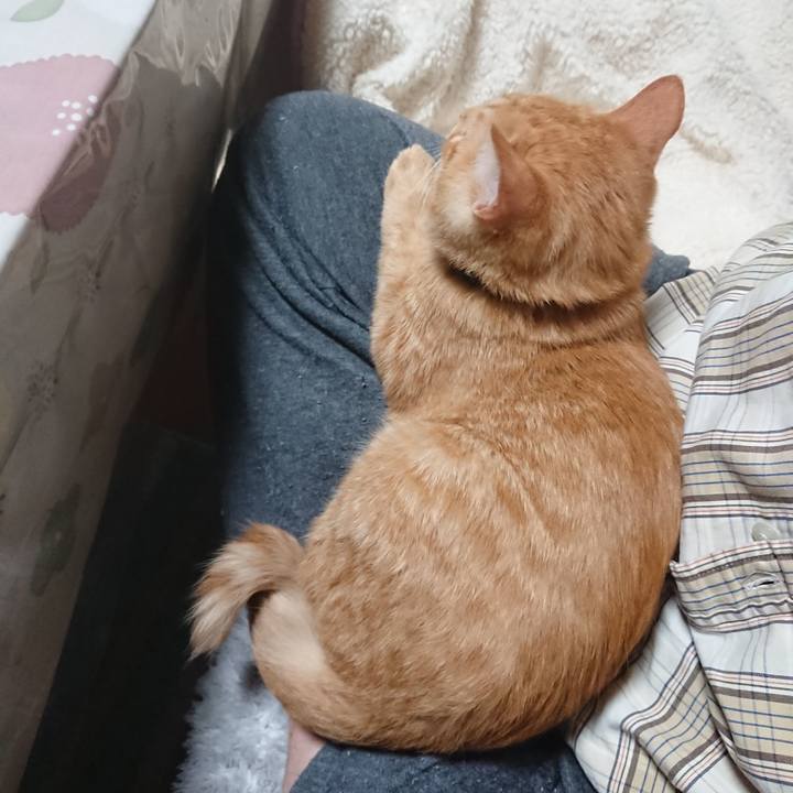 9d4d4ada b245 4263 9294 19feda706642 1634551044314