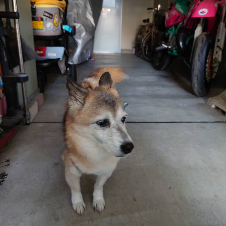 9d4d563a fa18 4e5f b389 2d8747bcfdda 1732696860807