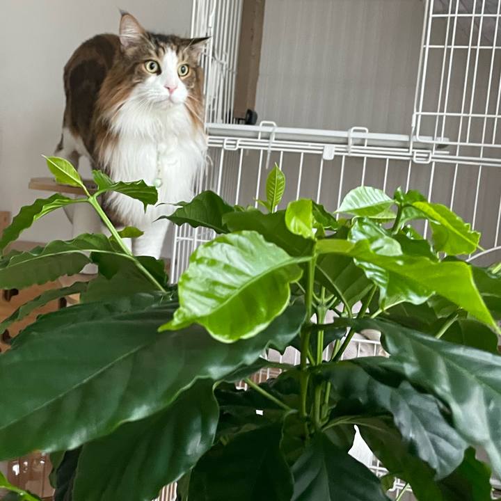 9d4d6774 0460 4b24 a5af 3a77deb9a45b 1755382554192