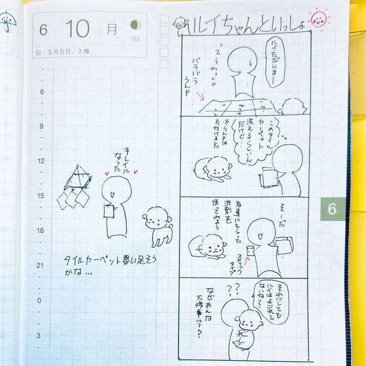 9d4d67e1 e6d8 4a77 a0e2 67ef0352233b 1718028662216