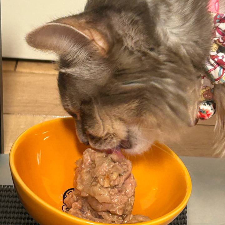 9d4d972c a941 4249 81b4 839dda1e4589 1769735977580