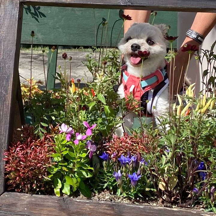 9d4dafb1 d3fd 48f5 a337 b92c651766c3 1697202840750