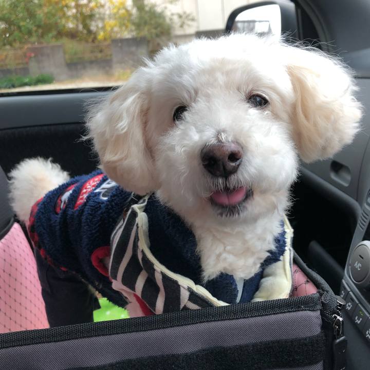 9d4dd63c fbad 4d61 ba54 28d8330d4ed3 1544064968615