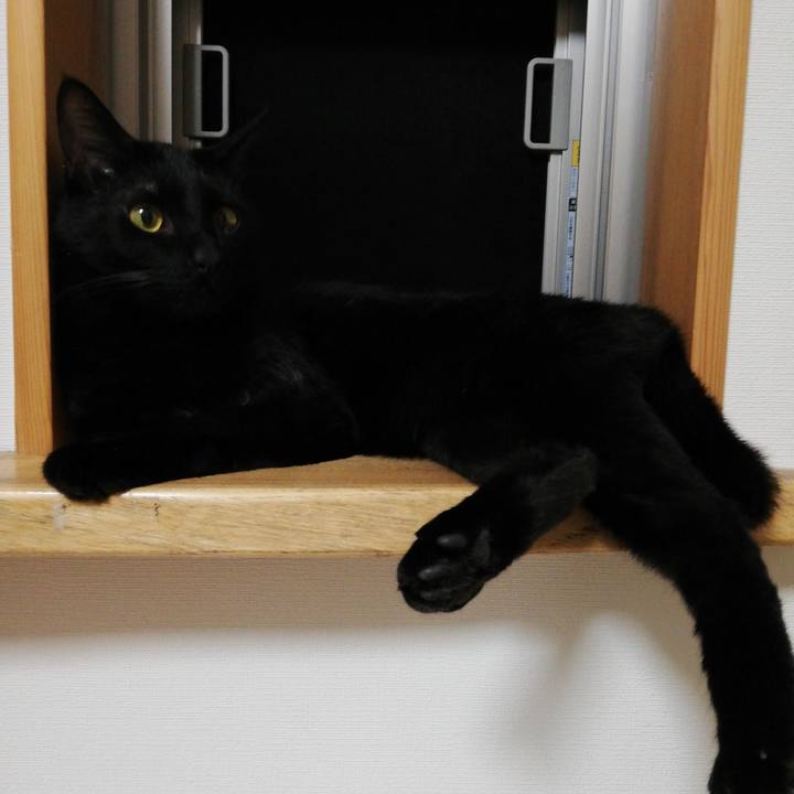 9d4e21b8 80e7 468a 823e 1846f685c025 1623583950217