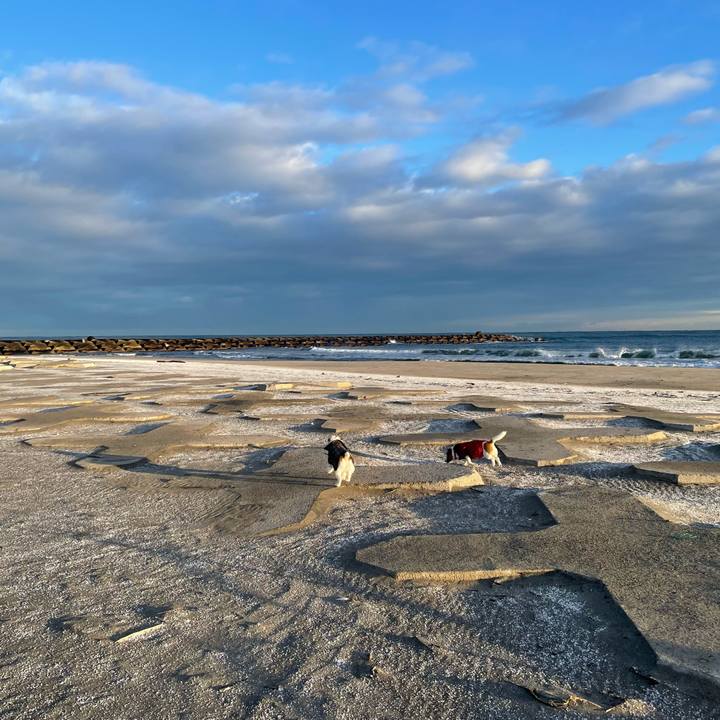 9d4e2306 534e 49ca 9366 ae1d47b119c8 1704757698342