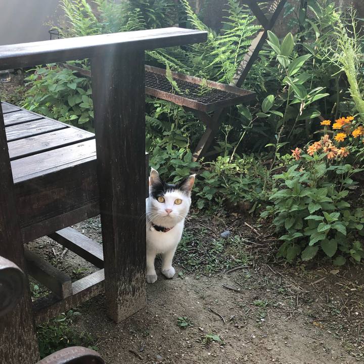 9d4eb394 fe3b 43f9 b4b7 d61ab506e843 1618957608354