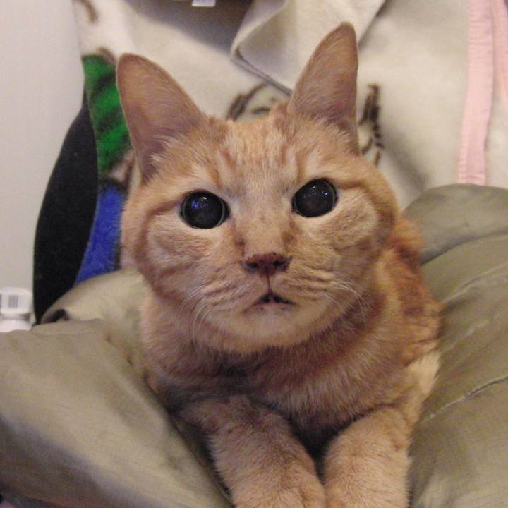 9d4f2113 9b73 4086 8a73 b21b1e6ce19c 1606438016073