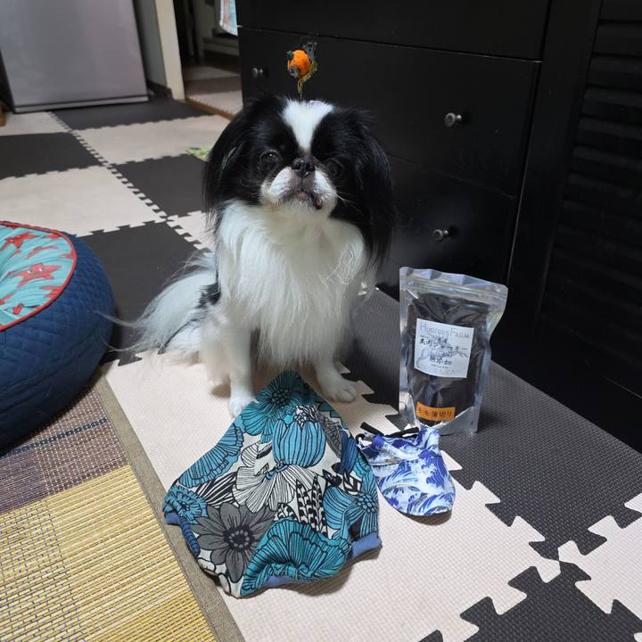 9d4f34f8 5b73 4aa8 8ea1 d7f5e79ade6d 1759660938125