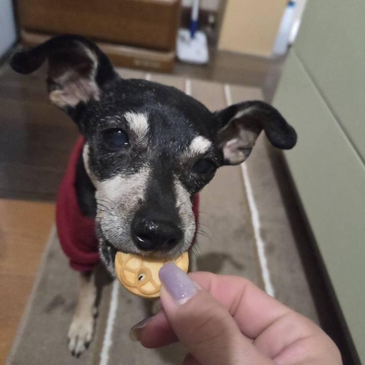 9d4f642c de56 41a6 b6c8 3354c4935234 1768506473948