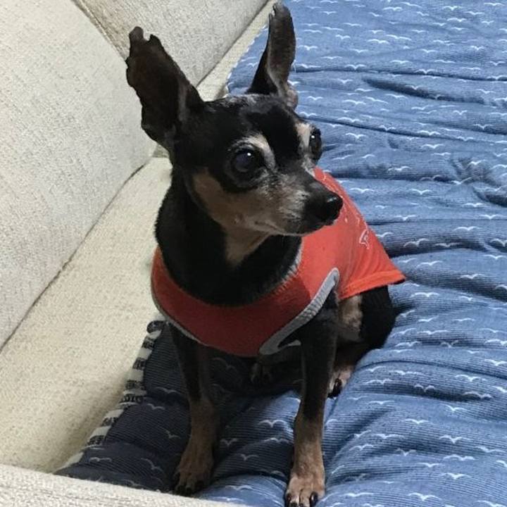 9d4f6ba9 d4d5 4071 9249 dd19856f5c3c 1581159751860