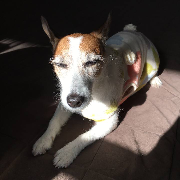 9d4f9285 54cf 4667 a629 f95a6a45b7b8 1611098624386