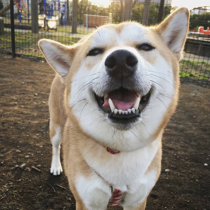 9d4f9913 6a3c 4e74 9562 9da535f83908 1521043463590